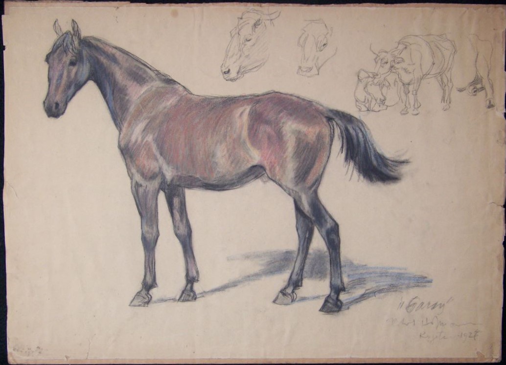 Robert Hofmann horse sketch copyright Estate of Robert Hofmann