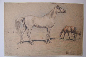 Horses in a Field, Untitled