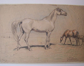 Horses in a Field, Untitled