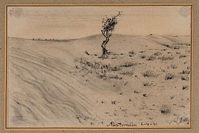 Untitled sketch of tree